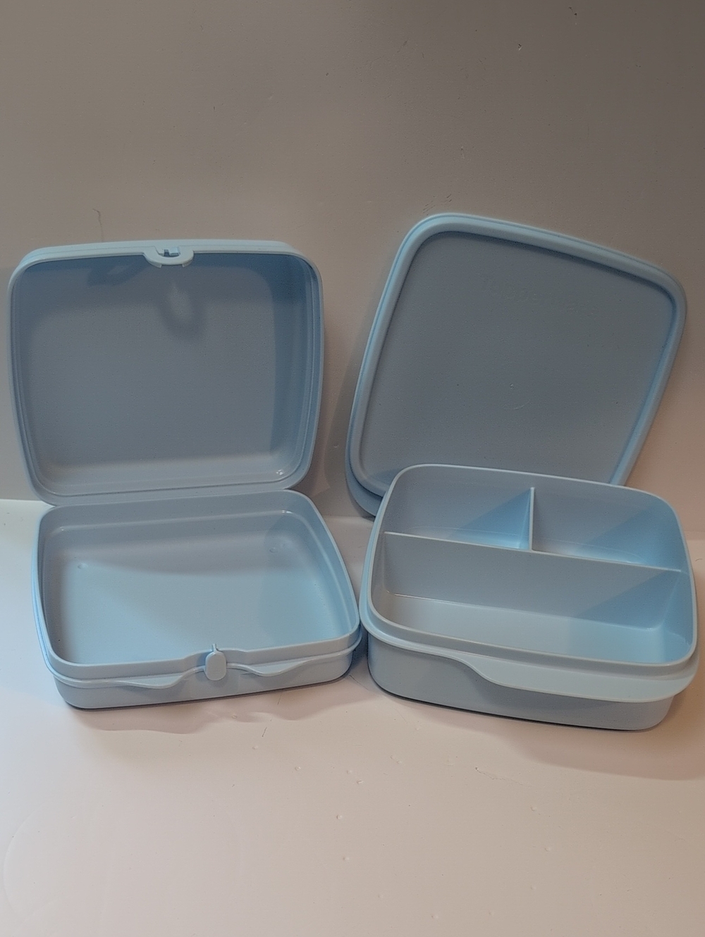 Tupperware®️ Sandwich Keeper & Eco Divided Dish